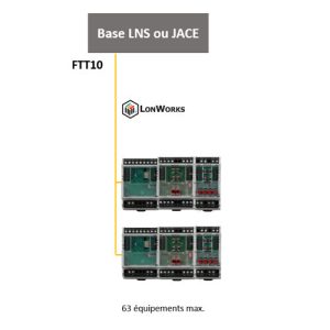 LF-FAM - Btib