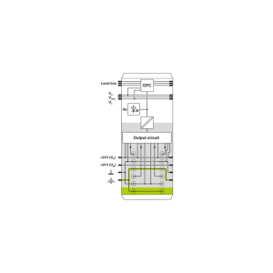 IB-IL-24-DO-4-PAC-4