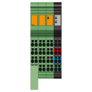 IB-IL-24-LSKIP-PAC-1