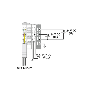 IB-IL-24-LSKIP-PAC-3