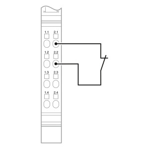 IB-IL-24-SEG-PAC-2