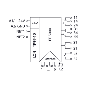 LF-TP-3